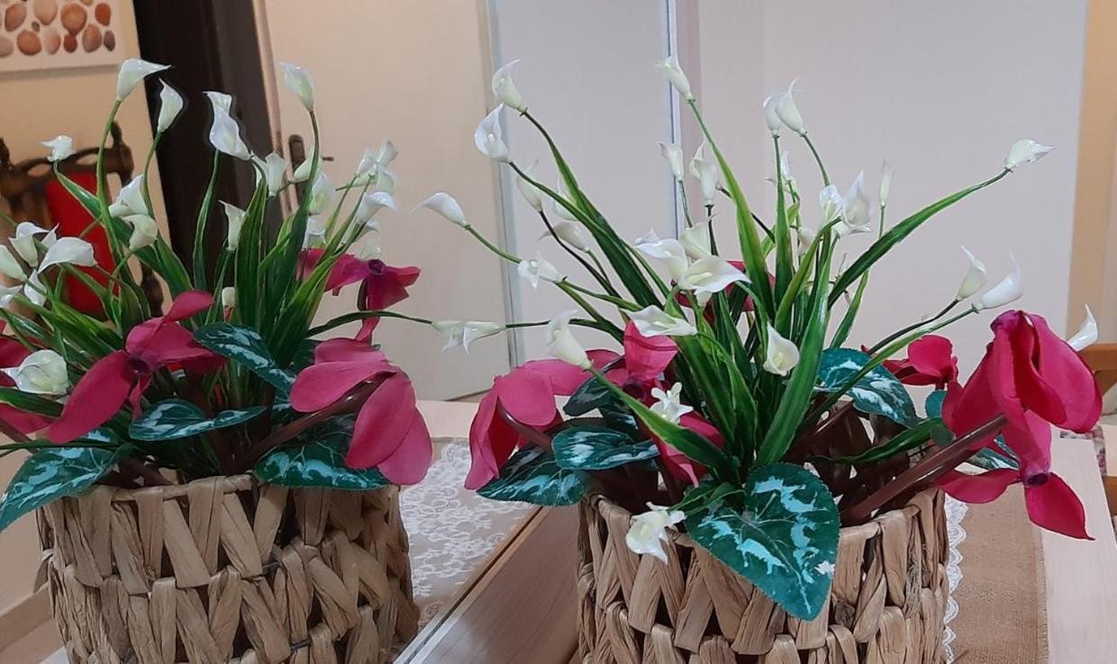 Evelyn Home لايميناس المظهر الخارجي الصورة