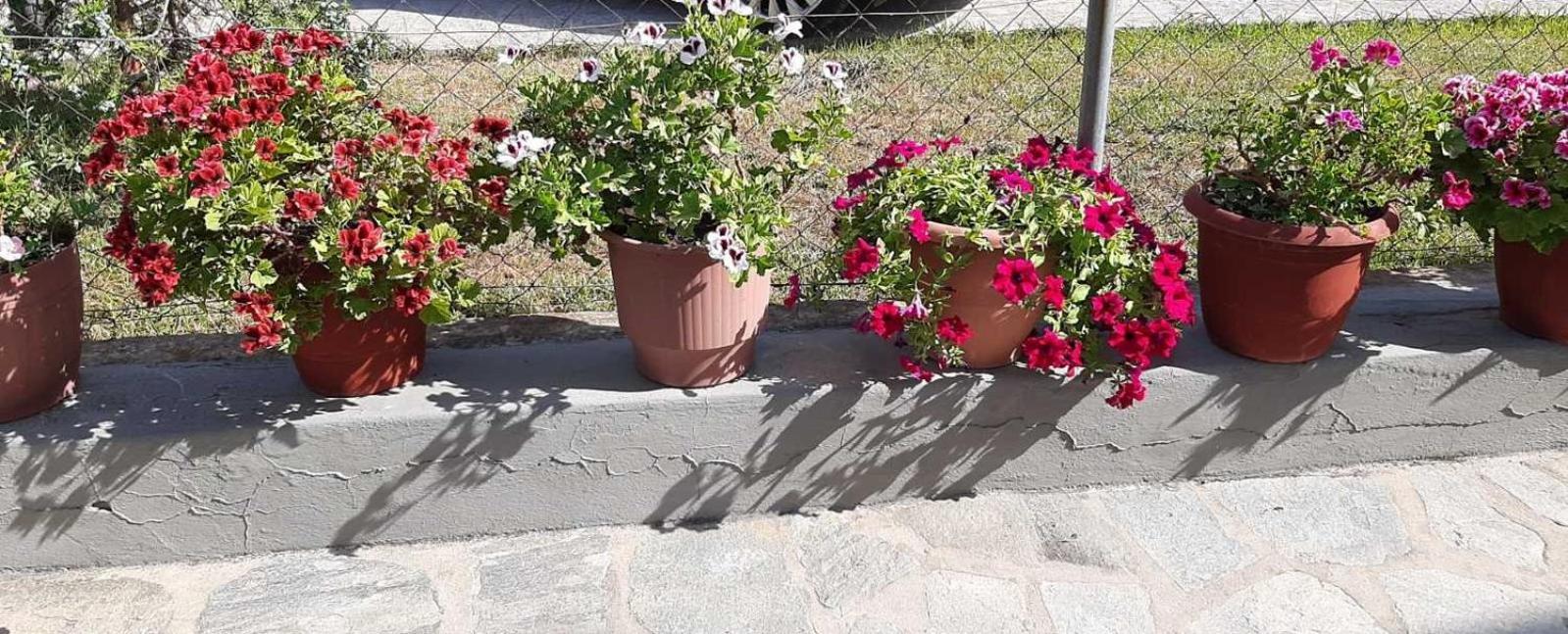 Evelyn Home لايميناس المظهر الخارجي الصورة